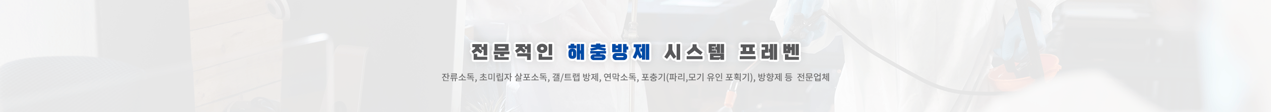 상세페이지 상단